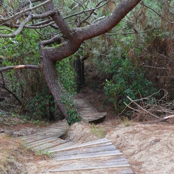 2016-12-10 Bordeaux/Cap Ferret/DSC_0197.JPG